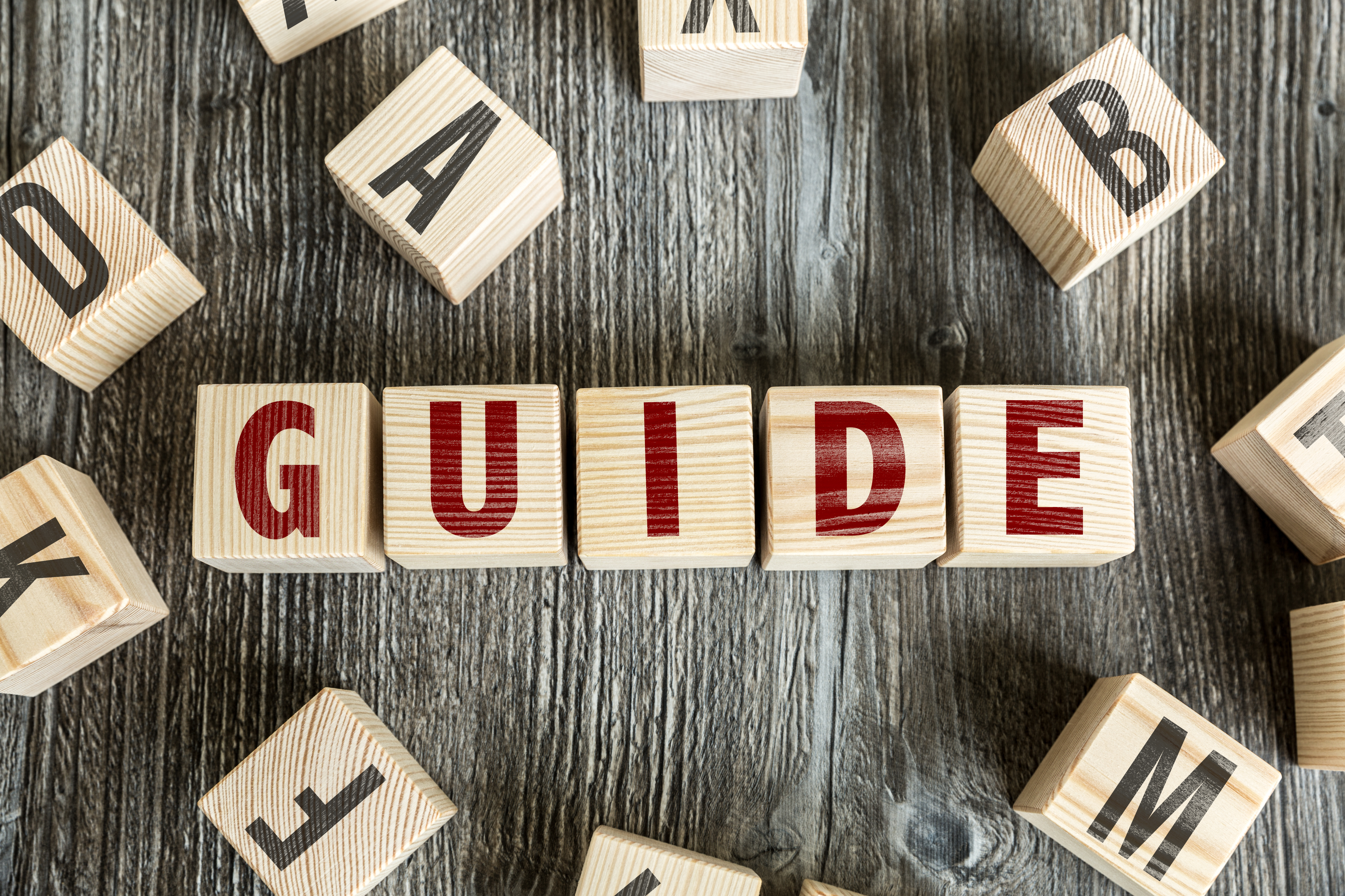 A PAYE Guide for Small Businesses