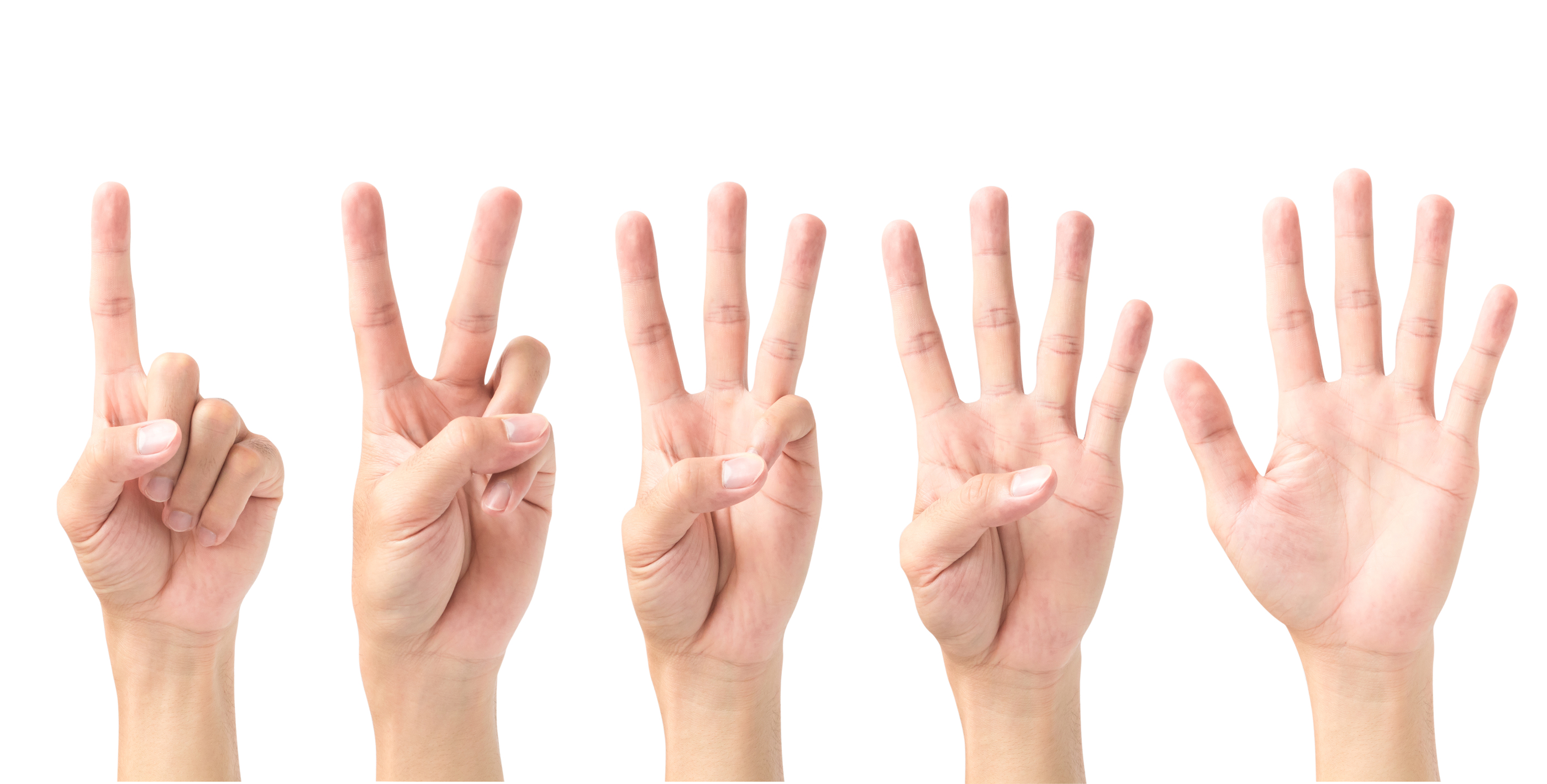 On the Hunt: 5 Things Every Start-Up Needs to Find