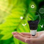 Six Ways to Become a Greener Business