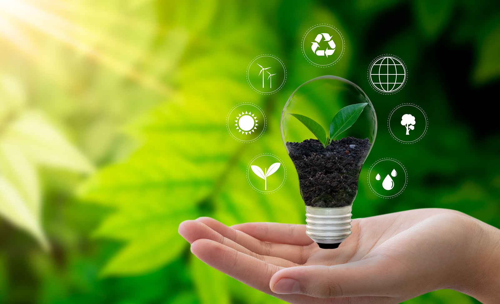 Six Ways to Become a Greener Business