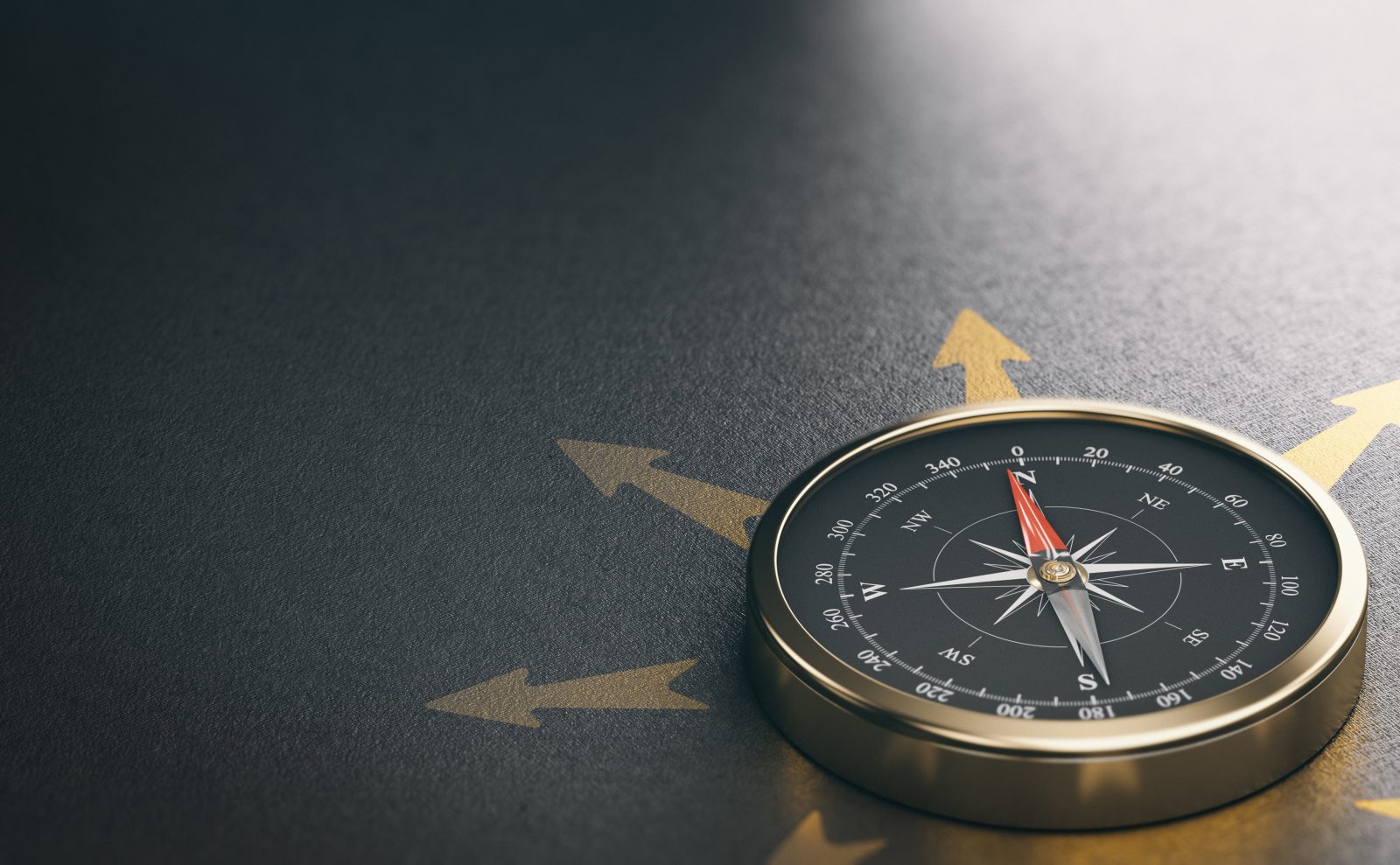 Do Limited Companies Need to Hire an Accountant?