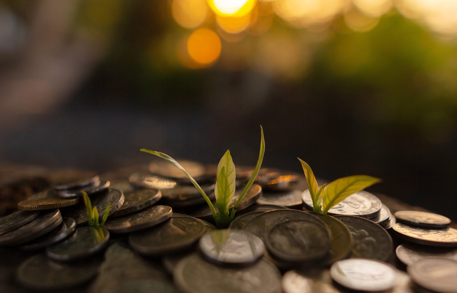 Will I Be Taxed on Money That I Crowdfund for My Business